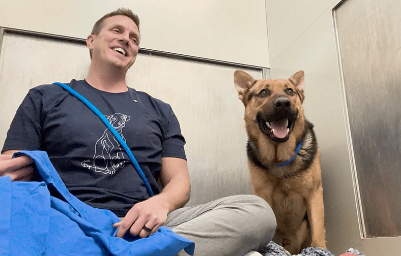 Sitting with dogs: Bruno